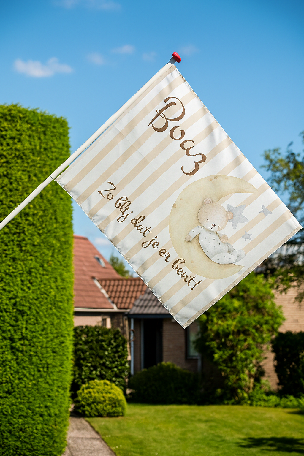 Geboortevlag Maan en Beer