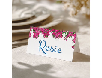 Naamkaartjes  21 Diner Mama Mia - Direct Download (18st)