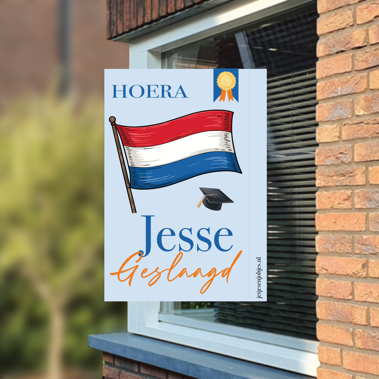 Raambord Geslaagd Nederlandse Vlag