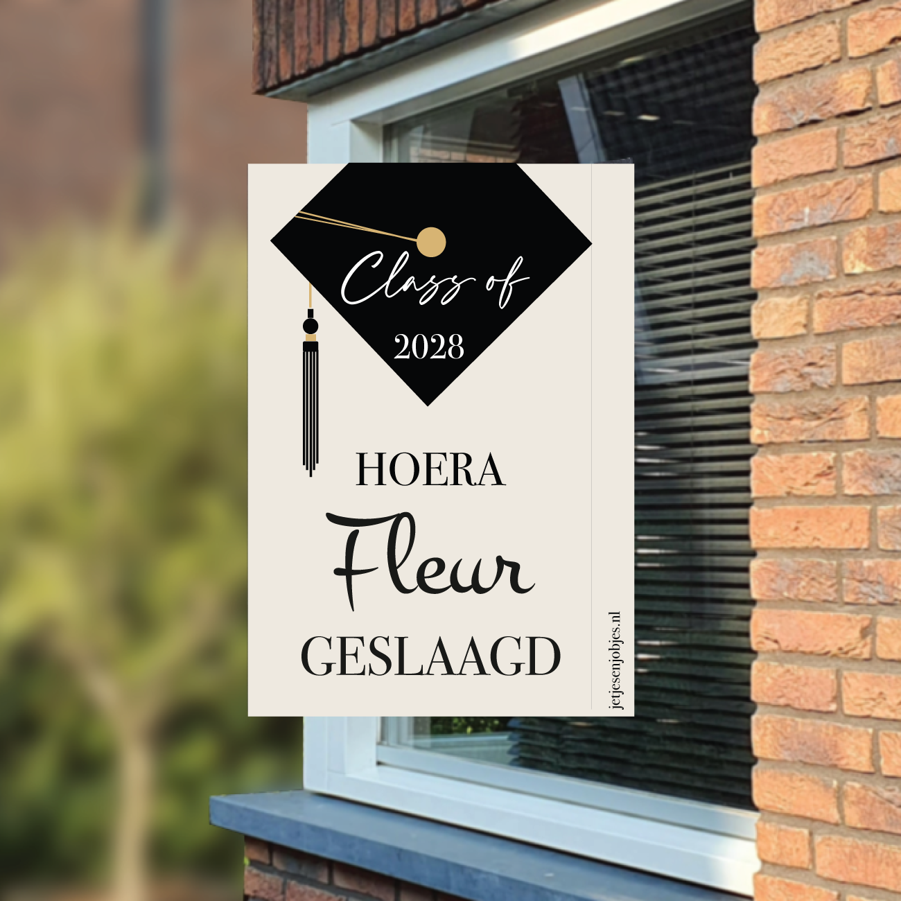 Raambord Geslaagd XL Afstudeerhoedje met naam