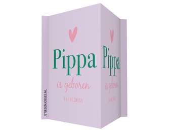Geboortebord color blocking roze groen – met naam
