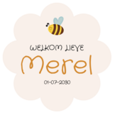 Geboorte raamsticker met naam Bijtje, bloemvormige raamsticker met bijtje, gepersonaliseerd