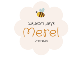 Geboorte raamsticker Bijtje met naam