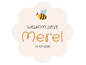 Geboorte raamsticker Little Bee met naam