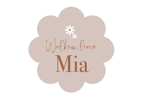 Geboorte raamsticker Little Daisy met naam