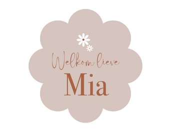 Geboorte raamsticker Little Daisy met naam
