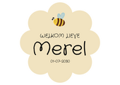 Geboorte raamsticker Little Bee Yellow met naam