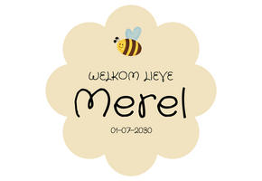 Geboorte raamsticker Little Bee Yellow met naam