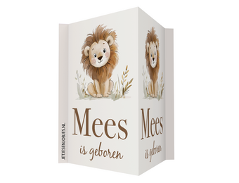 Geboortebord Little Lion met naam