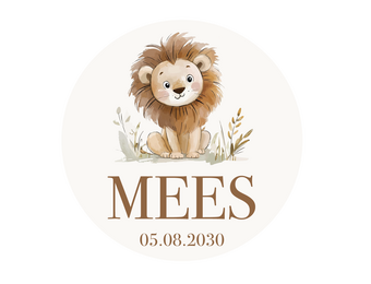Geboorte raamsticker Little Lion met naam