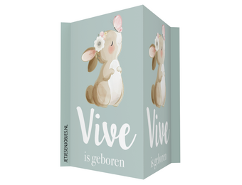 Geboortebord Konijntje met vlinder met naam
