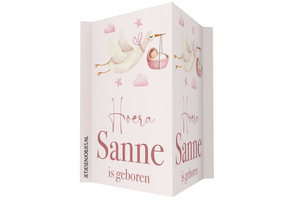 Geboortebord Ooievaar roze met naam