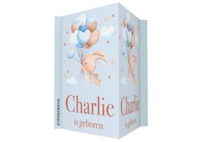 Geboortebord Konijntje met ballonnen blauw met naam