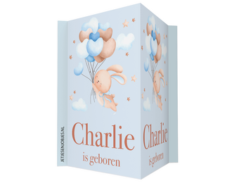 Geboortebord Konijntje met ballonnen blauw met naam