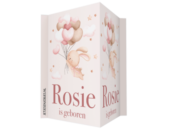 Geboortebord Konijntje met ballonnen roze met naam