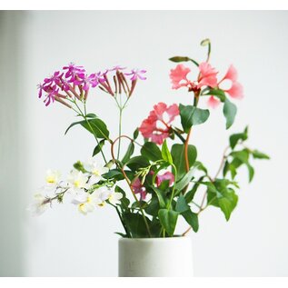 Send and Grow postcard - Hooray plant a party