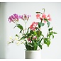 Send and Grow card - Just a greeting