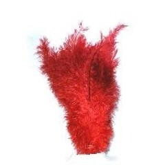 Floss veren rood 30cm