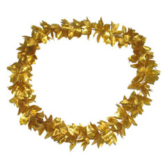 Hawai bloemenkrans goud