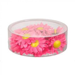 Boland Set 20 Decoratiebloemen Zinnia