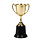 Gouden trofee (22 cm)