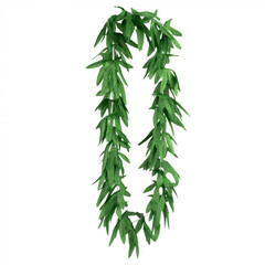 Boland St. Hawaïkrans Highwaii