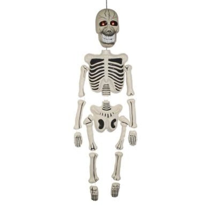 Skelet 150cm met geluid