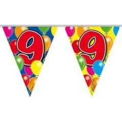 Vlaggenlijn ballons 9 jaar 10mtr