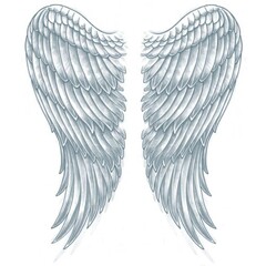 Tattoo XL wings