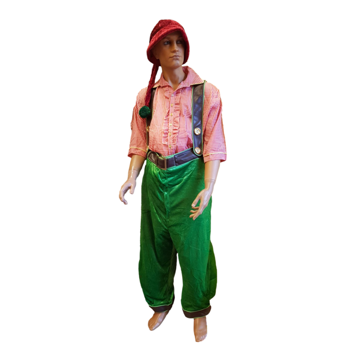 Dwerg St.Patrick's Day