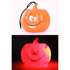Pompoen hanger met licht incl. batterij