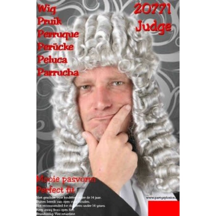 Pruik 'Rechter' grijs DOOS 373