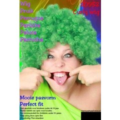 Pruik hippie groen DOOS 74