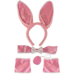 Bunnyset wit/roze ass