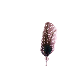 Speld met veer zwart/wit