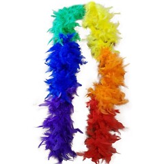 Boa regenboog 2m 45gr