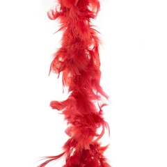 Boa rood 2m 45gr