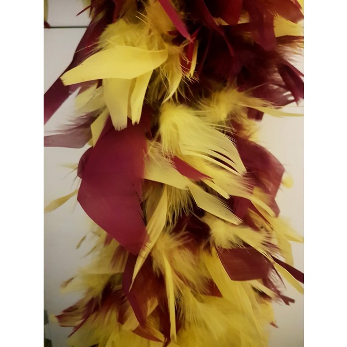 Boa de luxe 150gr bordeaux/geel