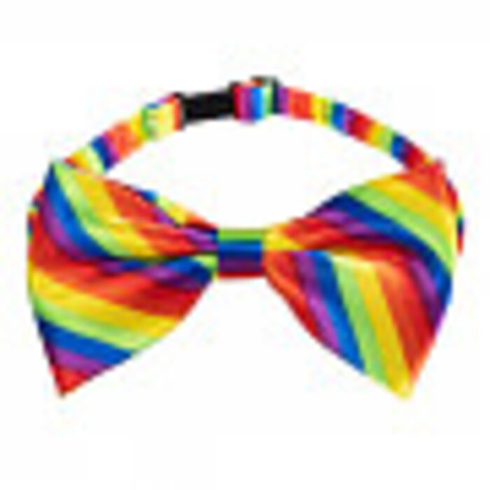 Accessoireset regenboog (partybril, vlinderstrik en bretels)