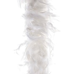 Funny Fashion Boa wit 2m 90 gram