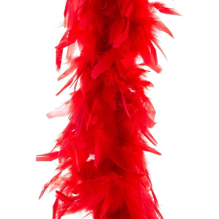 Funny Fashion Boa rood 2m 90 gram