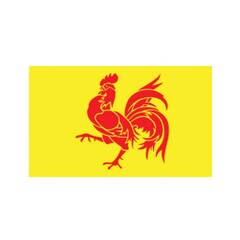 Vlag Wallonië 150x90cm
