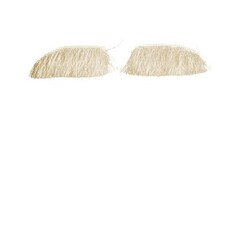 Sint wenkbrauwen buffelhaar