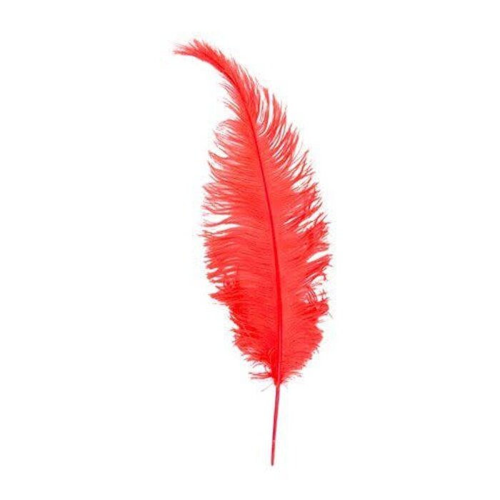 Veer struisvogel spadonis oranjerood 50cm