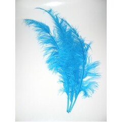 Veer struisvogel spadonis turqoise 50cm