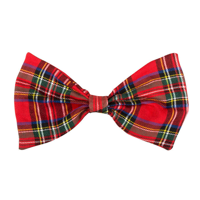 Nerd set bril, strik en bretels