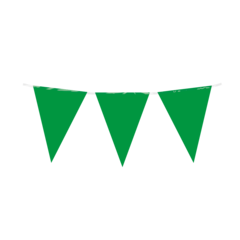 Vlaggenlijn PE groen 10 meter