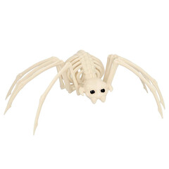 Feestshop.be Spin skelet (37 x 21 x 11 cm)
