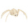 Spin skelet (37 x 21 x 11 cm)