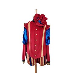 Feestshop.be Piet fluweel deluxe rood/blauw